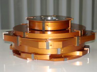 ����� salamander