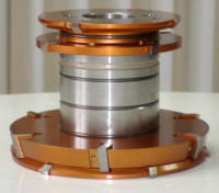 ����� salamander